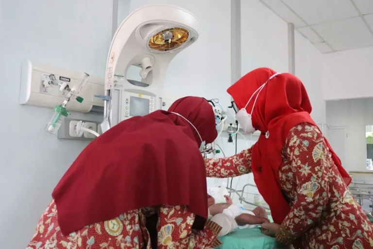 Alat Pemanggang Kambing Guling Otomatis