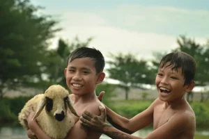 Aqiqah Anak Laki Laki Berapa Kambing? Panduan Lengkap Syariat