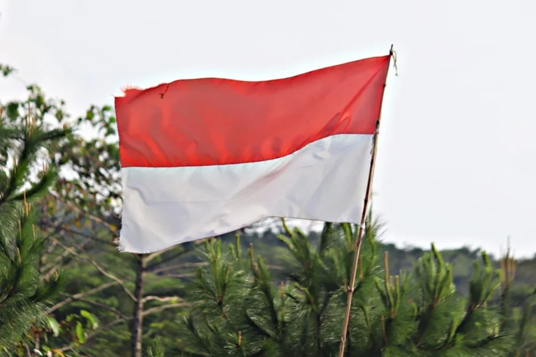 Harga Kambing Guling Untuk Pesta