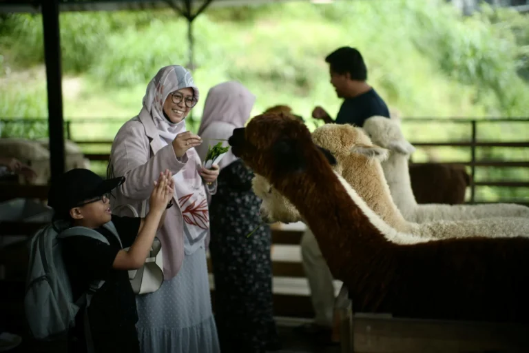 Lama Membakar Kambing Guling