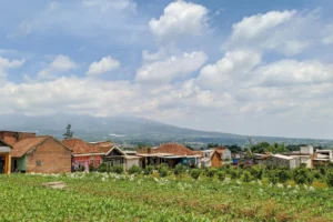 Panduan Aqiqah Sederhana di Rumah: Lancar, Berkah & Hemat